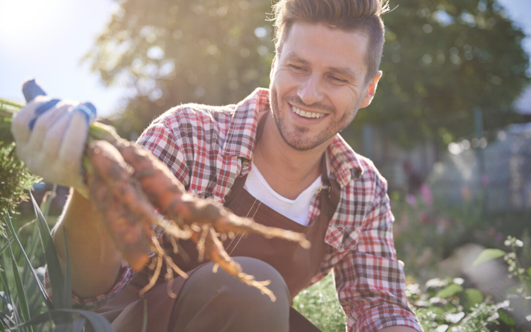 Cómo acreditar la condición de joven agricultor para acceder a los seguros agrarios subvencionados en Andalucía