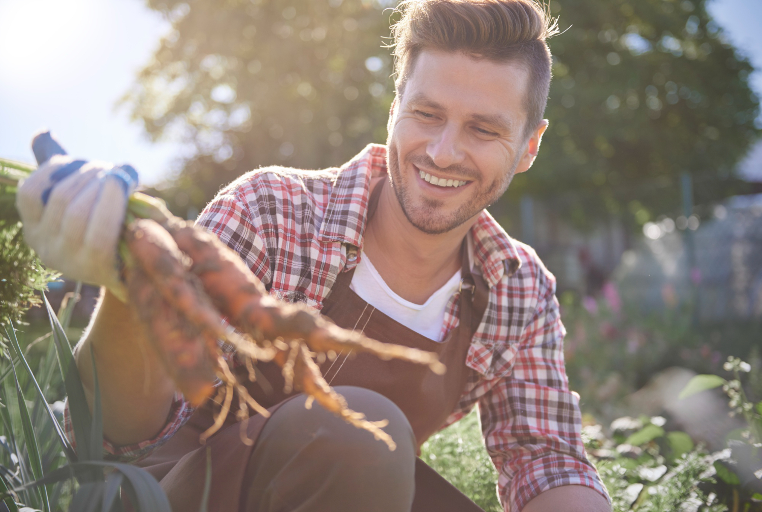Cómo acreditar la condición de joven agricultor para acceder a los seguros agrarios subvencionados en Andalucía